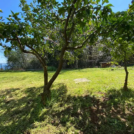 Back To Pobri-opatija 公寓 奥帕提亚