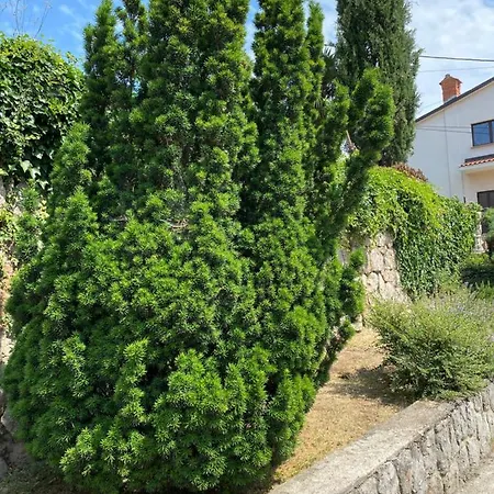 Back To Pobri-opatija Опатія