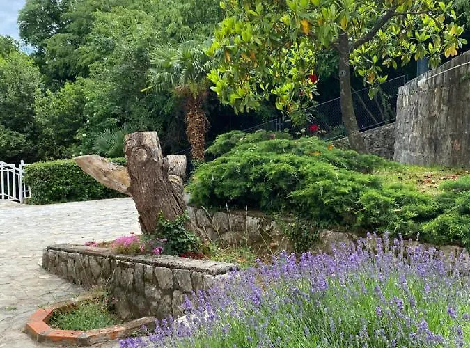 Back To Pobri-opatija 奥帕提亚