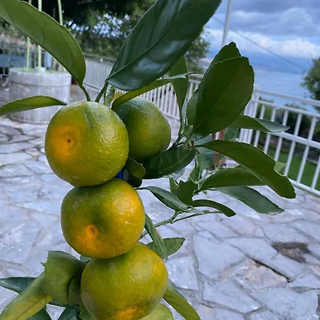 Back To Pobri-opatija * Οπατία