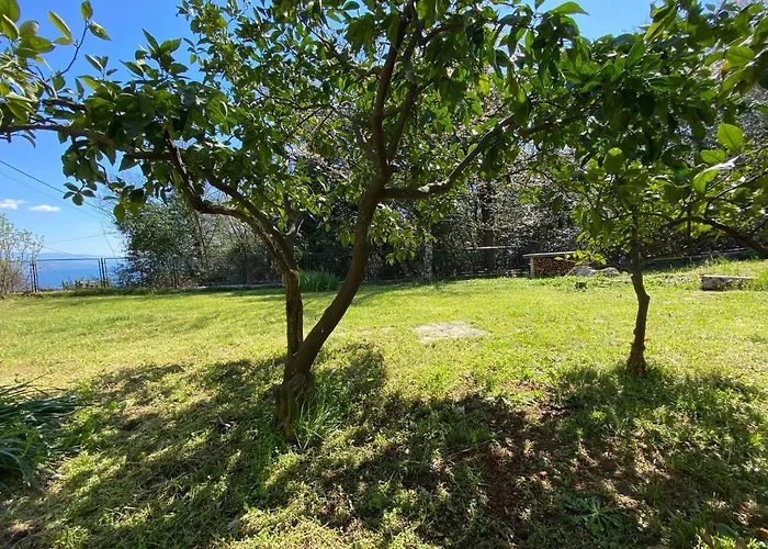 Back To Pobri-opatija Διαμέρισμα Οπατία