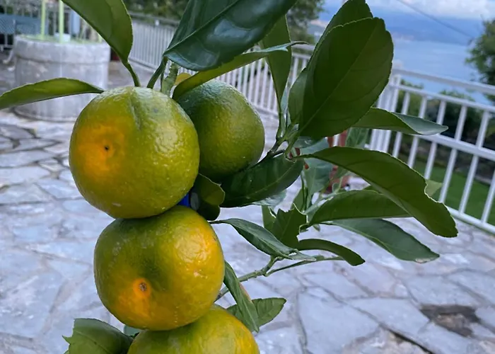 Back To Pobri-opatija * Οπατία